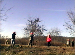 Hunters Flurry-shooting at high-flying birds.